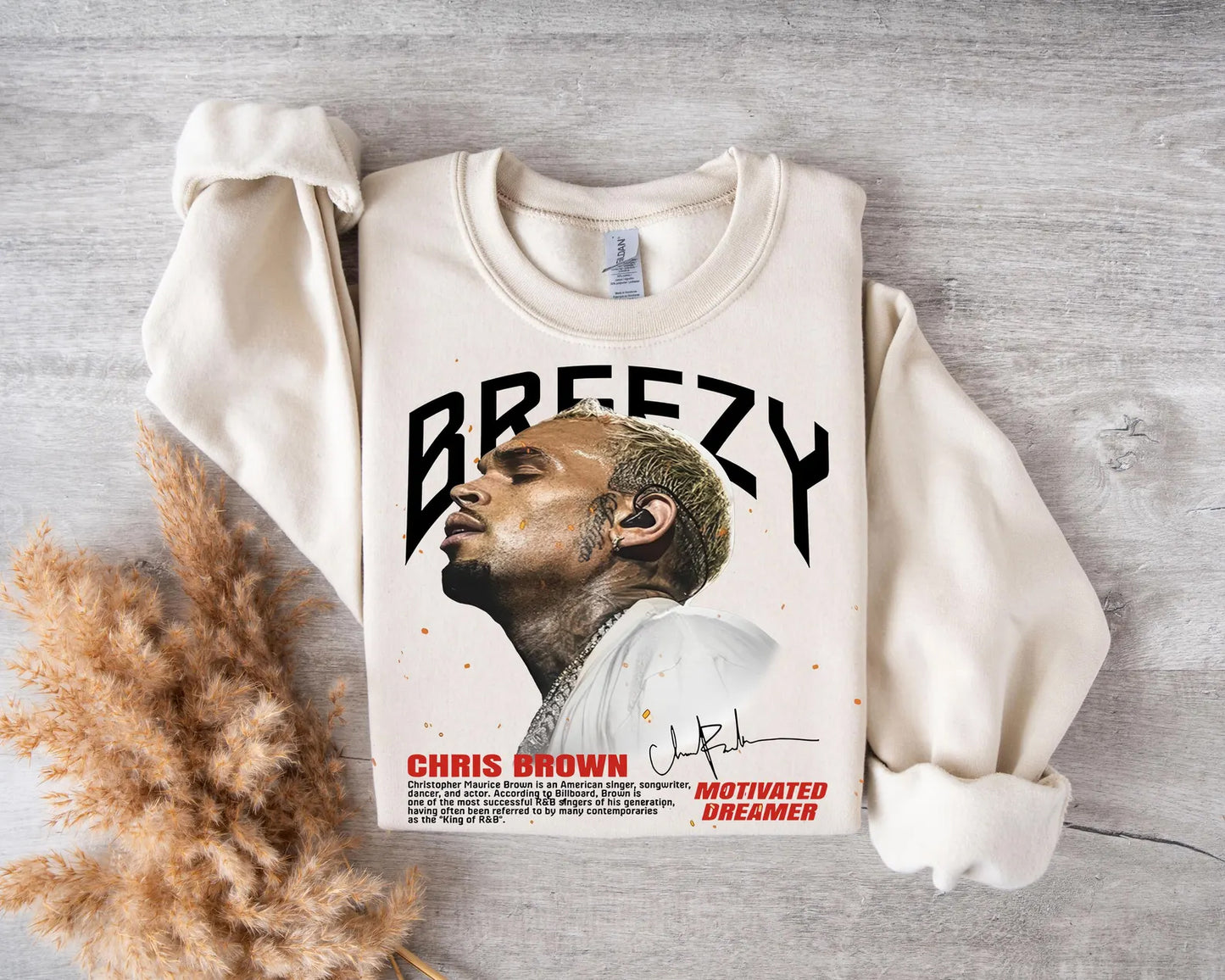 40+ Chris Brown Breezy Bowl XX Tour 2025 Png Bundle, Middle Finger Png